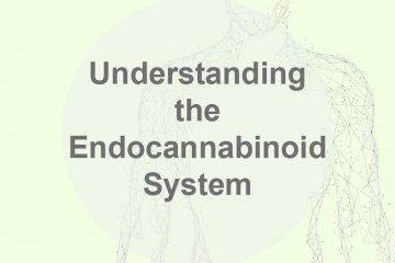 What is the Endocannabinoid System