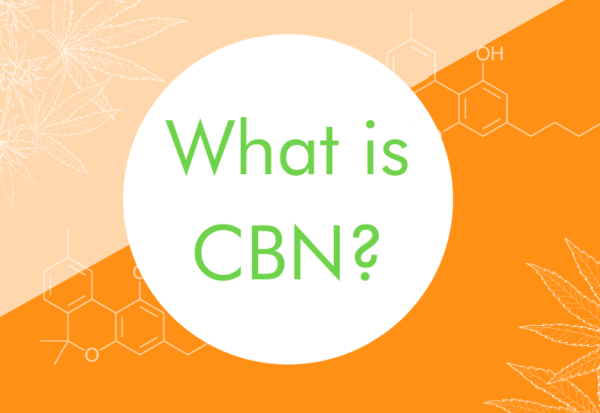 What is CBN?