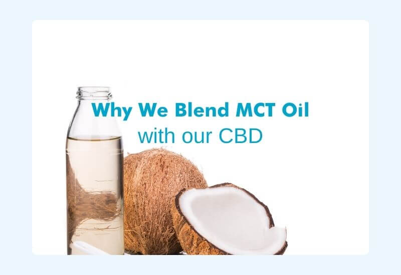 Why We Use MCT Oil in our CBD Products