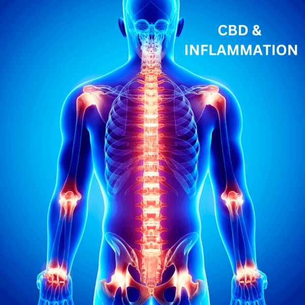 CBD AND INFLAMMATION